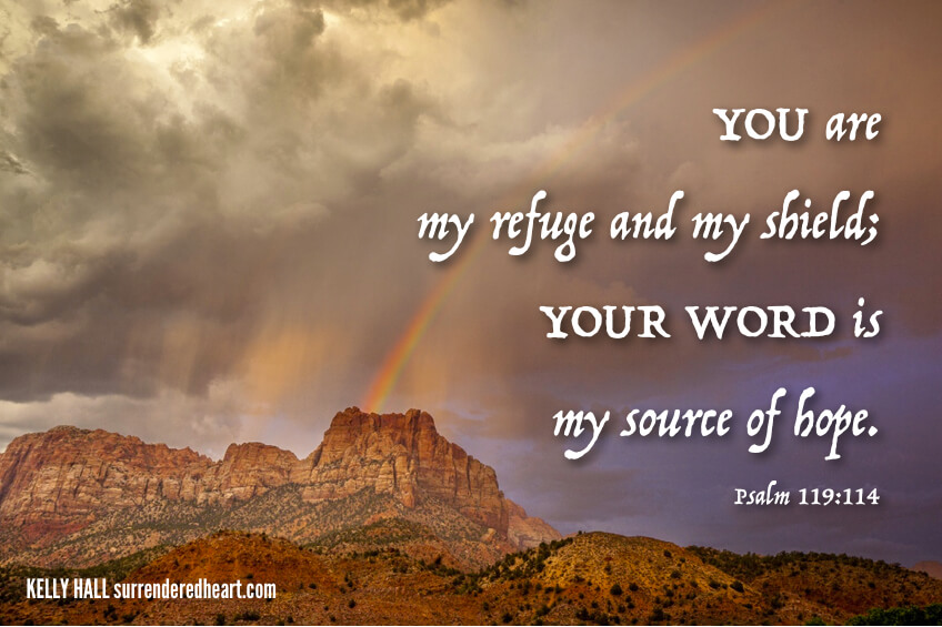 YOU are my and my shield; YOUR WORD is my source of hope.
