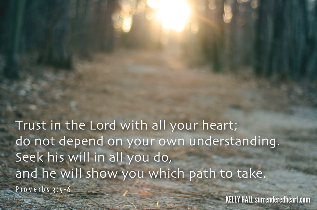 Trust in the Lord with all your heart; do not depend on your own understanding. Seek his will in all you do, and he will show you which path to take. - Proverbs 3:5-6